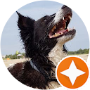 Daniele Benedini Daniele Benedini